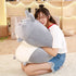 Large Animal Plush Toy (Cat, Dog, Totoro Etc)