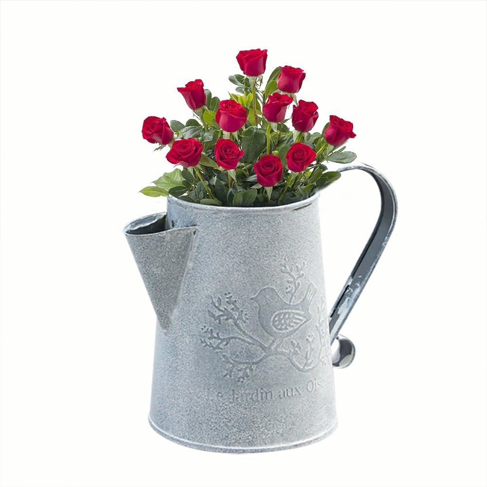 Retro Iron Decorative Gardening Watering Pot